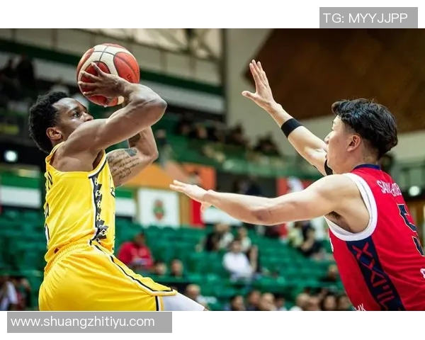 2017年辽宁队与浙江广厦队激战回顾：一场篮球盛宴的精彩瞬间与战术较量